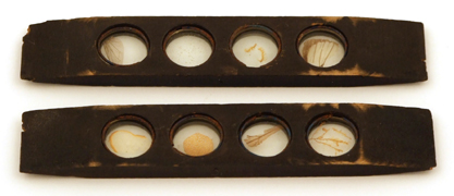 Mikroskop von Utzschneider und Fraunhofer in M&uuml;nchen um 1820: Probeobjekte