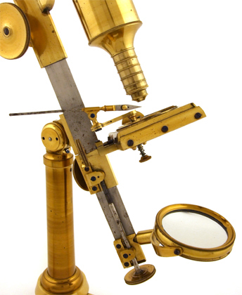 Gro&szlig;es Mikroskop von Simon Pl&ouml;ssl in Wien: Tisch mit Pinzette