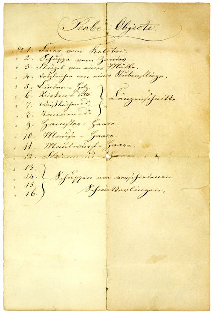 Mikroskop F.W. Schiek No. 63: Liste der Probeobjekte