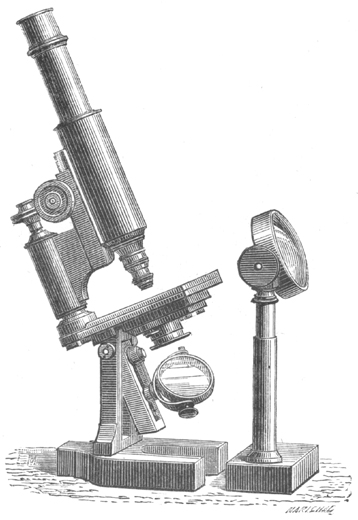 Hufeisen-Mikroskop Prazmowski; Abb. aus: Eug&egrave;ne Trutat: Trait&eacute; &eacute;l&eacute;mentaire du microscope; Gauthier-Villars, Paris 1883