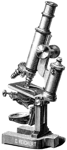 Stativ II von Carl Reichert. Abb. aus: Ch. Reichert Vienne: Catalogue illustr&eacute; des microscopes, microtomes etc; No. XV; Wien 1888